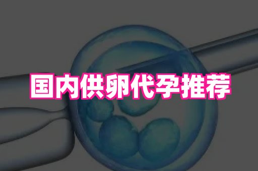 杭州助孕网 3
