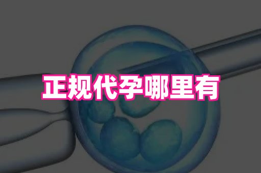 杭州助孕网 3