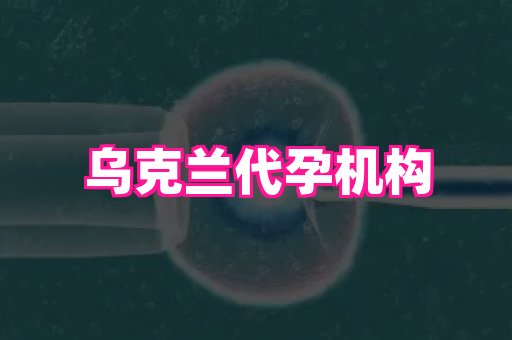 杭州助孕网 4